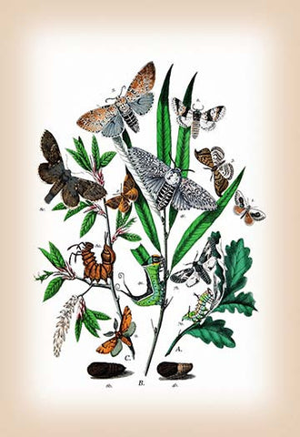 Whisper please, Image is sleeping.