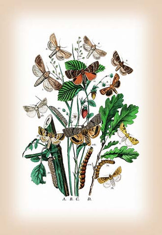 Whisper please, Image is sleeping.