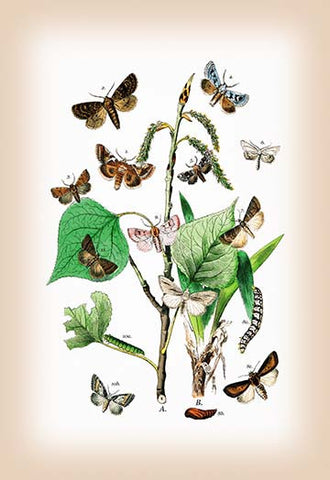 Whisper please, Image is sleeping.