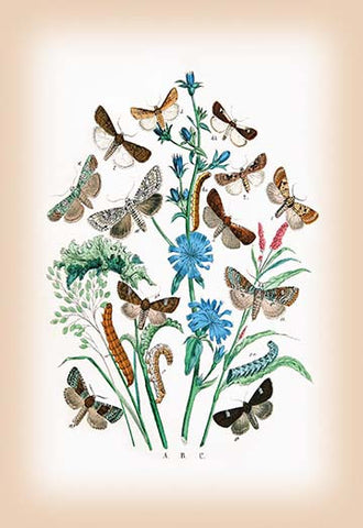 Whisper please, Image is sleeping.