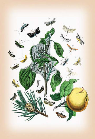 Whisper please, Image is sleeping.