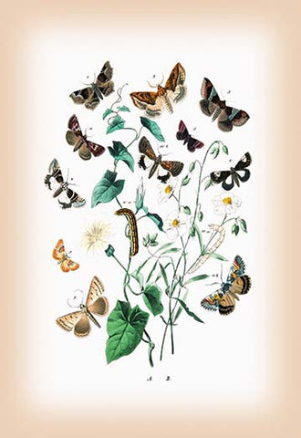 Whisper please, Image is sleeping.