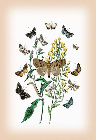 Whisper please, Image is sleeping.