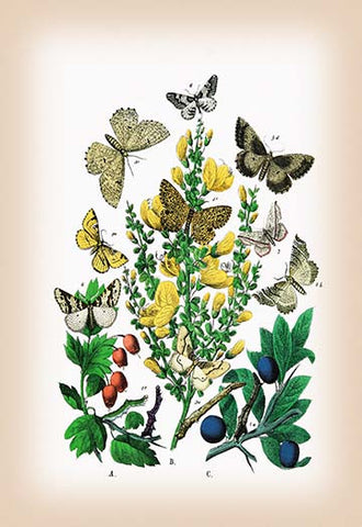 Whisper please, Image is sleeping.