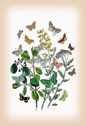 Whisper please, Image is sleeping.