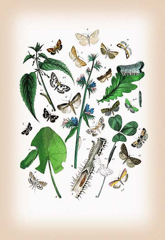 Whisper please, Image is sleeping.