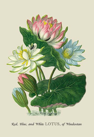 Whisper please, Image is sleeping.