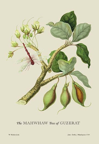 Whisper please, Image is sleeping.