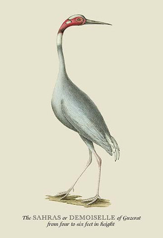 Whisper please, Image is sleeping.