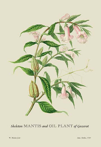 Whisper please, Image is sleeping.