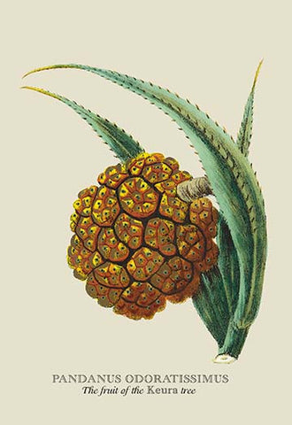 Whisper please, Image is sleeping.