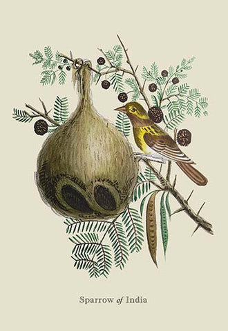 Whisper please, Image is sleeping.