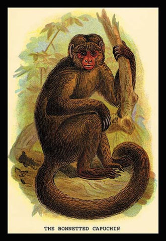 Whisper please, Image is sleeping.