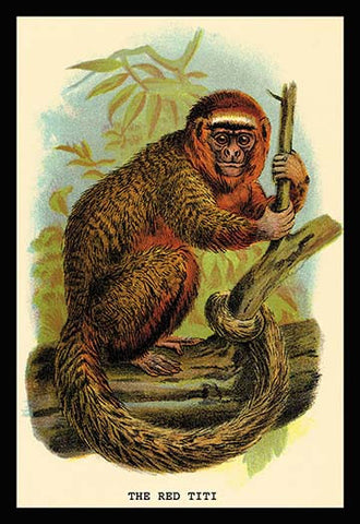 Whisper please, Image is sleeping.