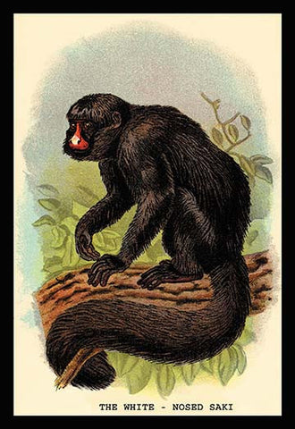 Whisper please, Image is sleeping.