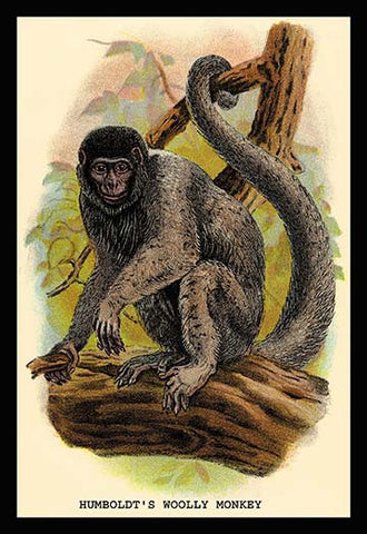 Whisper please, Image is sleeping.