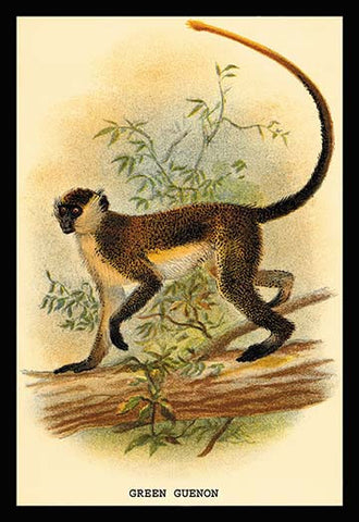 Whisper please, Image is sleeping.