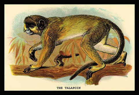 Whisper please, Image is sleeping.