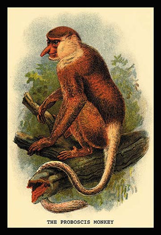 Whisper please, Image is sleeping.