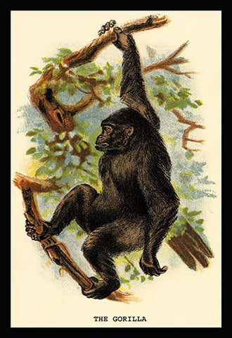 Whisper please, Image is sleeping.