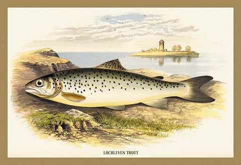 Whisper please, Image is sleeping.