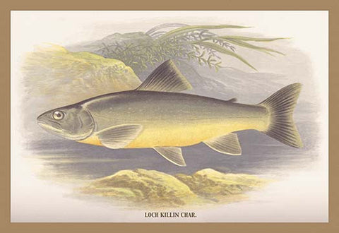 Whisper please, Image is sleeping.