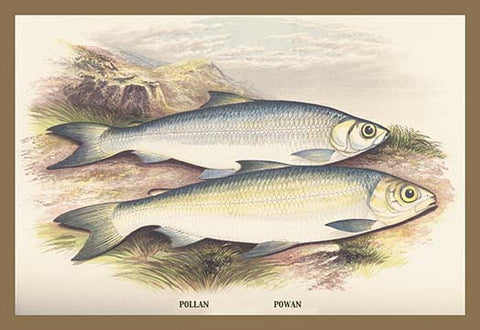 Whisper please, Image is sleeping.