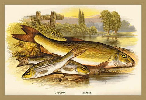 Whisper please, Image is sleeping.