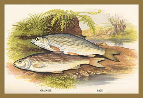 Whisper please, Image is sleeping.