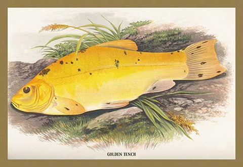 Whisper please, Image is sleeping.