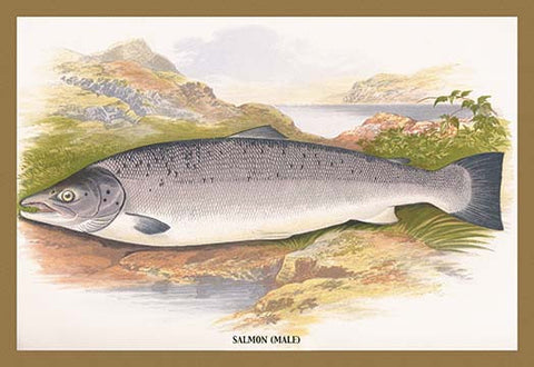 Whisper please, Image is sleeping.