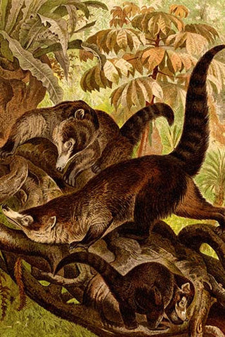 Whisper please, Image is sleeping.