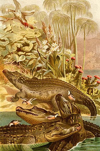 Whisper please, Image is sleeping.