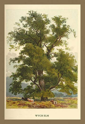 Whisper please, Image is sleeping.