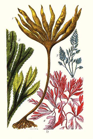 Whisper please, Image is sleeping.