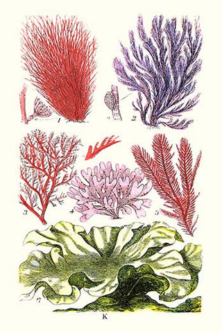 Whisper please, Image is sleeping.