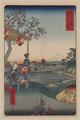 Whisper please, Image is sleeping.