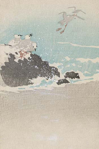 Whisper please, Image is sleeping.