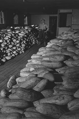 Whisper please, Image is sleeping.