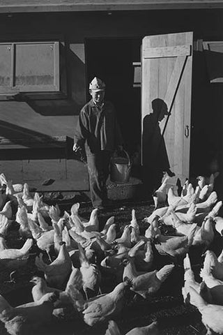 Whisper please, Image is sleeping.