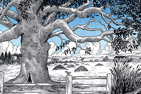 Whisper please, Image is sleeping.