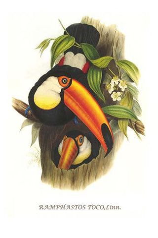 Whisper please, Image is sleeping.