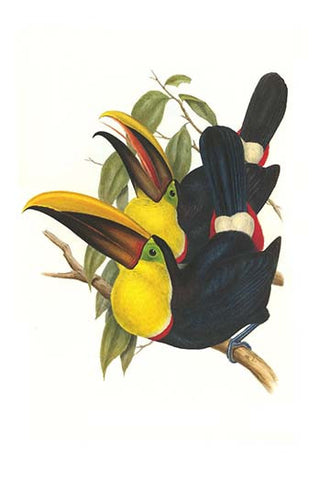 Whisper please, Image is sleeping.