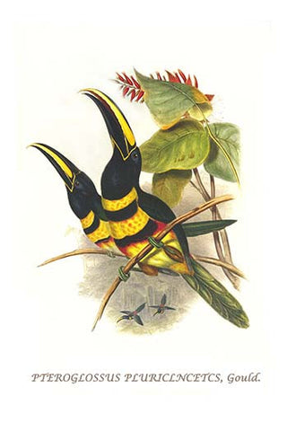 Whisper please, Image is sleeping.