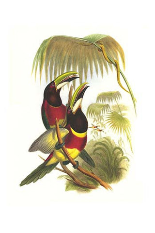 Whisper please, Image is sleeping.