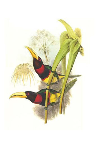 Whisper please, Image is sleeping.