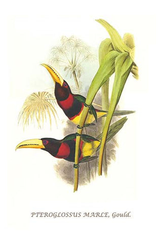 Whisper please, Image is sleeping.