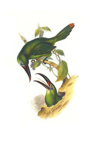 Whisper please, Image is sleeping.