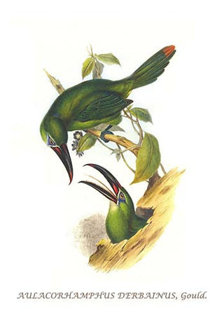 Whisper please, Image is sleeping.