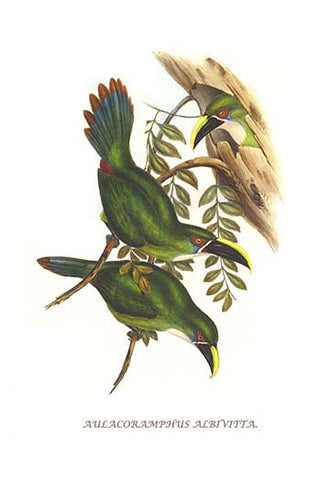 Whisper please, Image is sleeping.